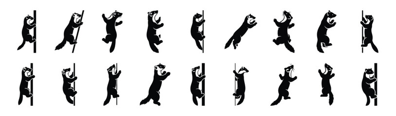 Fototapeta premium marten climbing pose silhouette illustration collection. Animals drawing illustration isolated on white background.