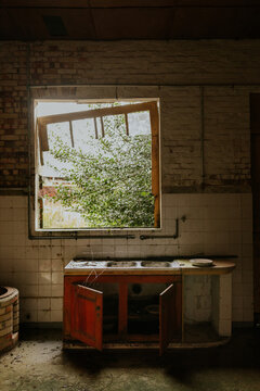 Abandoned kitchen with broken window and overgrowth