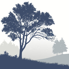 Silhouette of a tree in a misty landscape