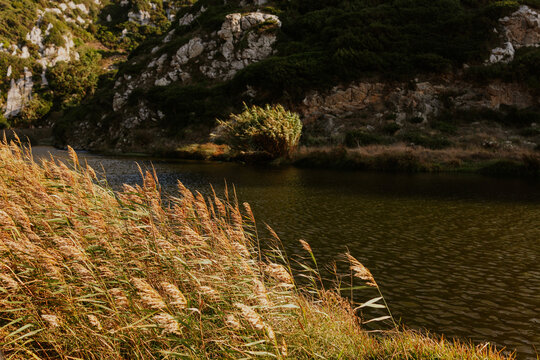 Calm river scene with lush vegetation and towering cliffs