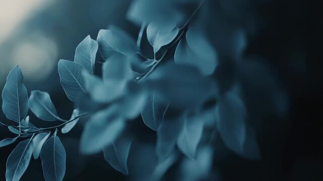 Teal colored leaves are growing on a delicate branch, bathed in soft, diffused light, with a blurred bokeh background, evoking a calm and natural tranquility