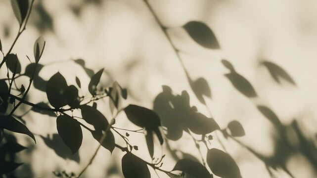 Delicate plant branches with small leaves creating abstract, organic shadow patterns on a soft, warm toned textured wall, evoking a tranquil and natural aesthetic