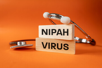 Nipah virus from the Henipavirus genus. Concept of health. Infectious disease, often fatal. A...