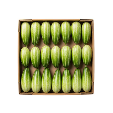 Fresh Green Pointed Gourd Parwal Vegetable