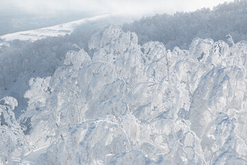 Morning sunlight and bright white snow on treetops in winter landscape, Hokkaido, Japan