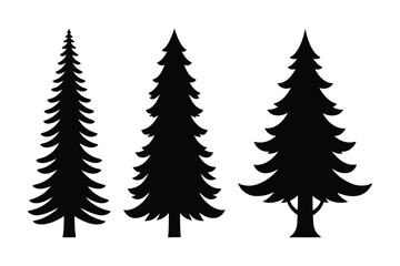 Fototapeta premium Three Evergreen Tree Silhouettes