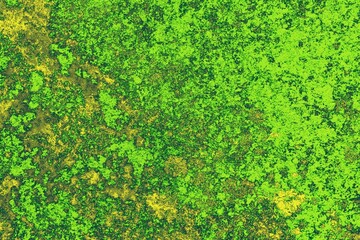 green moss on the stone green winter grunge watercolor background texture wallpaper texture old stone wall light effect background dark black effect graphics cover page template ol grunge-rust-texture