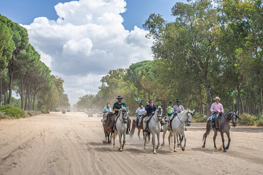 Pilgrims on horseback to El Roc&iacute;o, Andalusia, Spain