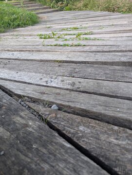 Close-up view of an old wooden boardwalk with visible wear, cracks, and grass sprouting between the planks. Texture and depth. By the passage of time nature reclaiming space.