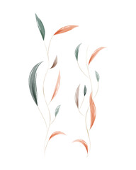 Naklejka premium A beautiful watercolor painting shows flowing botanical elements. Slender stems support leaves in soft green, terracotta, and subtle brown. This artwork offers an elegant, minimalist natural design.