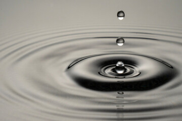 A captivating moment of a water droplet impacting a calm surface, creating concentric ripples. High quality photo