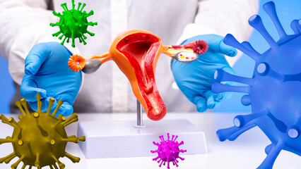 the concept of the virus in a woman. Human papillomavirus. The female reproductive system of a gynecologist obstetrician and an illustration of a virus of different sizes and colors. High quality