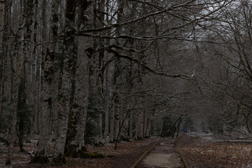 Obraz premium Paisajes nevados de Ordesa y Monte Perdido