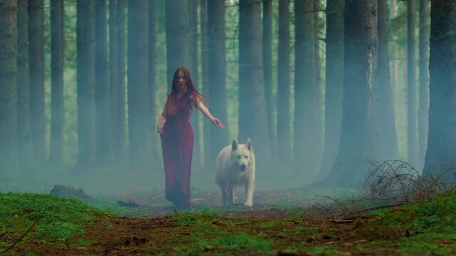 A woman in a red dress and a wolf wander through a misty forest