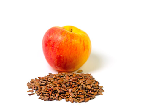 Apfelkerne und Apfel vor wei&szlig;em Hintergrund