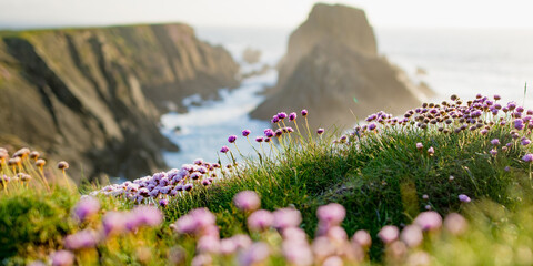 Scheildren, most iconic and photographed landscape at Malin Head