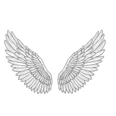 Obraz premium Bird wings, black and white sketch. Vector illustration. Angel or dove of peace wings isolated on a gray background. Suitable for tattoos, t-shirts, stickers, and textile printing