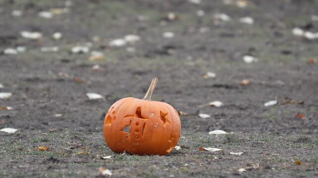 Orange pumpkin with a stem resting on a gray surface surrounded by scattered white objects in the background