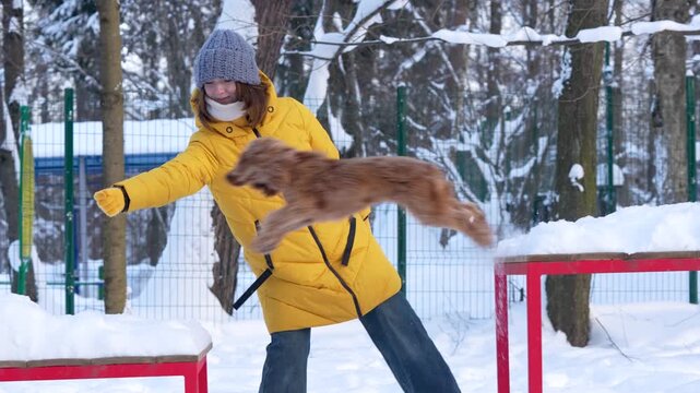 A woman in a yellow jacket trains a brown dog at a dog park, demonstrating playful interaction and training in winter conditions. Dogs Having Fun With Agility, Flyball And Distance Work