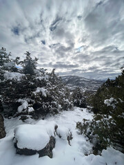 paisaje nevado en la sierra de Madrid