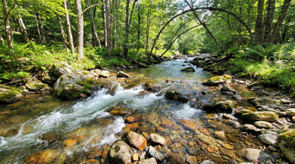 Obraz premium Serene flowing river with stones surrounded by lush green forest 