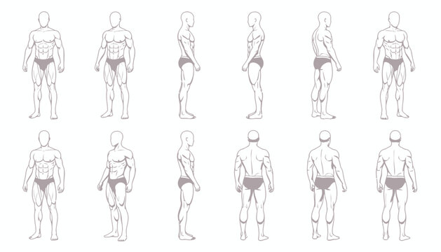 Vector illustration of a naked man and lady showing human body anatomy through a contour sketch and fashion figure silhouette for art design