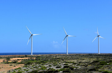 Three Windmills Along the Shoreline in Aruba