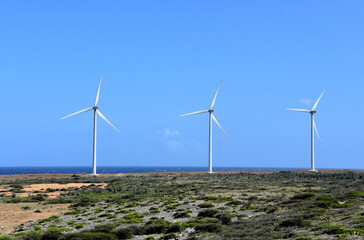 Trio of Windmills Along the Ocean Waters