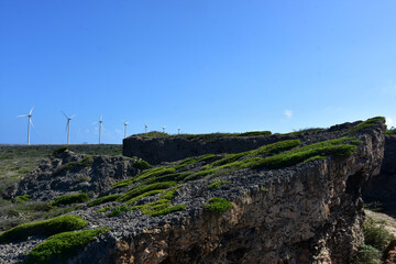 Wind Energy with Windmills Along the Coast