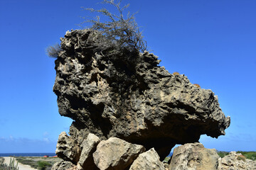 Large Lava Rock Formation In Aruba