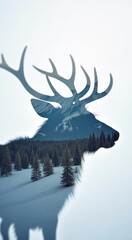 Deer with antlers standing in the snow