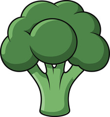 Obraz premium Fresh green broccoli Vector