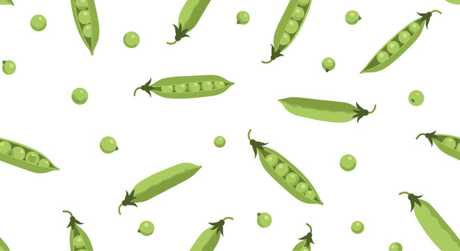 Pattern of Green Pea Pods and Loose Peas Over a White Background Seamless Vector Illustration