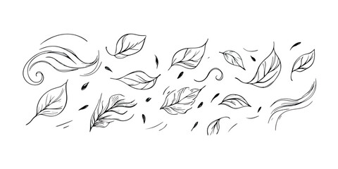 Obraz premium Hand drawn leaf wind motion and falling leaves sketch line art vector illustration of air flow and autumn breeze in minimalist doodle style