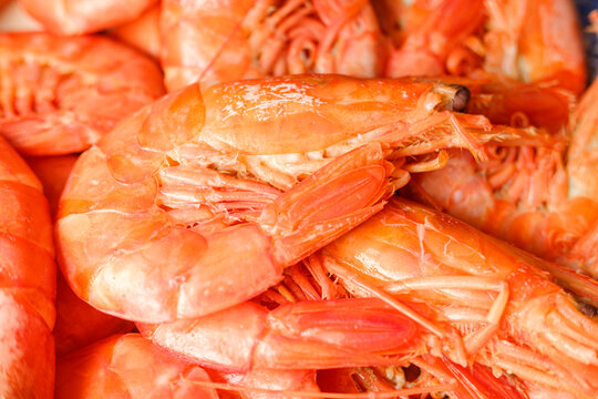 Close up view of a pile of cooked king prawns or langostines with bright orange color