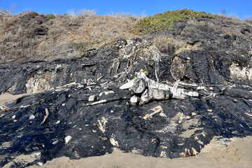 Large Asphalt Pile of Tar on the Beach