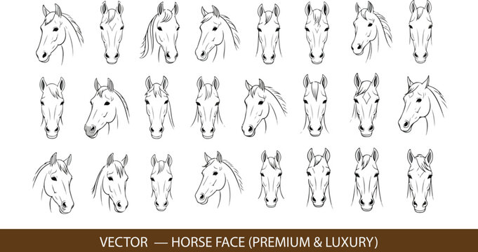 Refined vector illustration of a horse face with elongated elegant proportions, smooth flowing curves emphasizing grace and strength