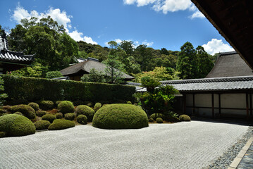 夏の酬恩庵一休寺　方丈南庭(京都府京田辺市)
