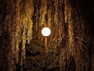 charming nighttime setting with softly lit foliage and vintage elements for artistic inspiration © Nataliia
