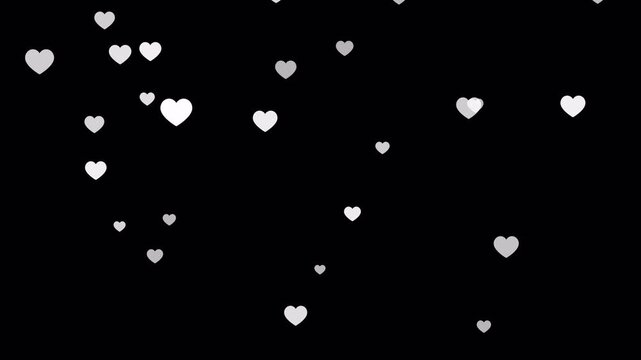 Heart Falling background Animation on transparent Background,numerous falling hearts motion graphic video animation,heart particle effect for Valentines Day,wedding,love, marriage ,anniversary