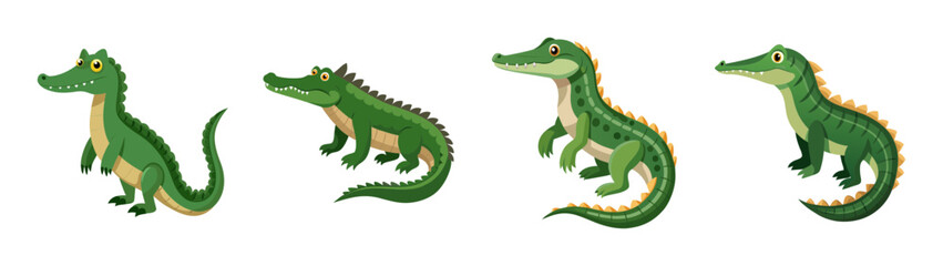 Obraz premium A set of four green alligator illustrations in different poses on a transparent background
