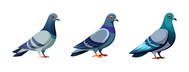 A colorful vector illustration of three pigeons standing in a row on a transparent background