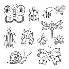 Naklejka premium Funny bugs and insects line vector hand drawn illustrations set.