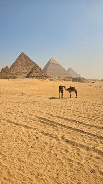 Wide panoramic view of the Great Pyramids of Giza under a clear blue sky, showcasing ancient Egyptian architecture and the vast desert landscape near Cairo, Egypt.