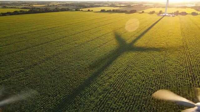 Aerial view of a crop field with wind turbine shadow