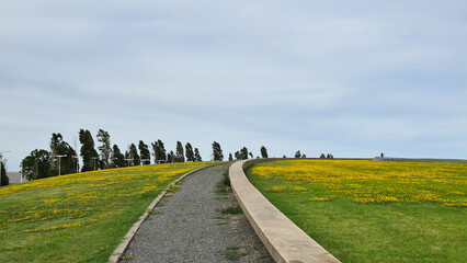 Pathway Leading Toward Blue Sky Surrounded by Green Grass