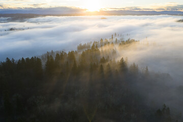 A blanket of fog drifts through the sunlit Willamette Valley just south of Portland, Oregon. The Pacific Northwest is known for its scenic forests, waterfalls, and rivers, as well as its wet weather.
