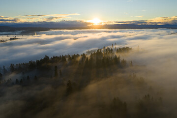 A blanket of fog drifts through the sunlit Willamette Valley just south of Portland, Oregon. The Pacific Northwest is known for its scenic forests, waterfalls, and rivers, as well as its wet weather.