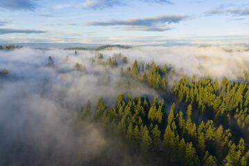A blanket of fog drifts through the sunlit Willamette Valley just south of Portland, Oregon. The Pacific Northwest is known for its scenic forests, waterfalls, and rivers, as well as its wet weather.