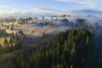 Naklejka premium A blanket of fog drifts through the sunlit Willamette Valley just south of Portland, Oregon. The Pacific Northwest is known for its scenic forests, waterfalls, and rivers, as well as its wet weather.